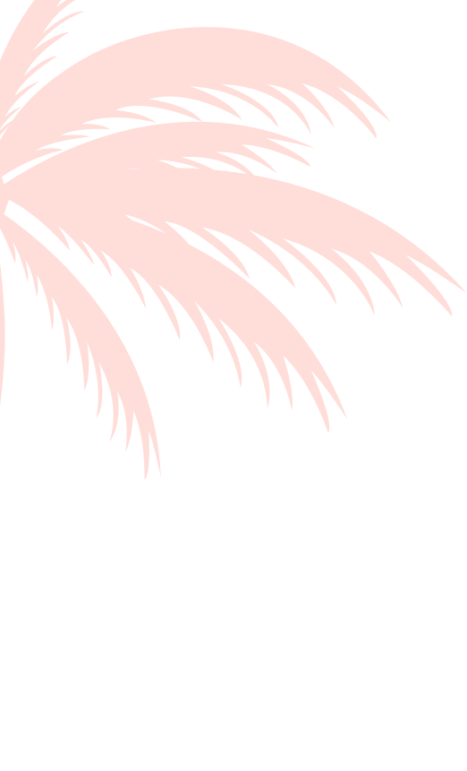 layout-slider1-01